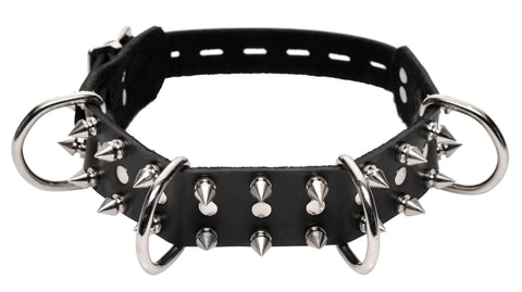 Strict Leather Spiked Dog Collar