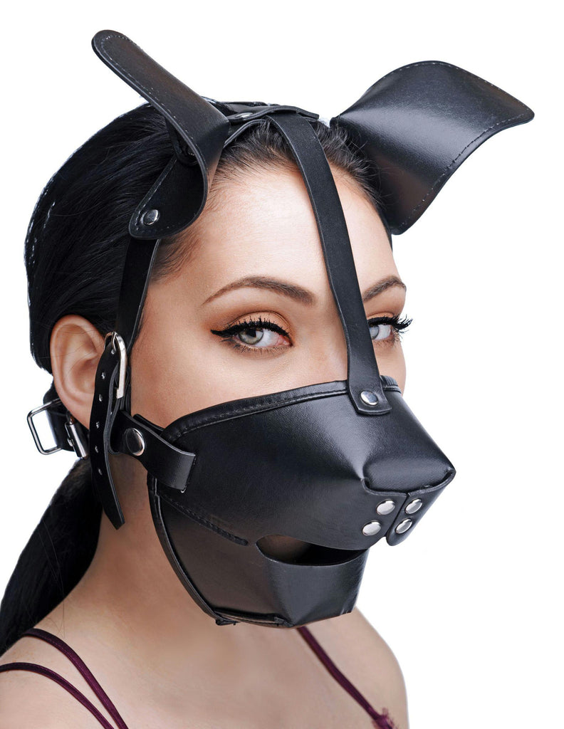 Pup Puppy Play Hood and Breathable Ball Gag